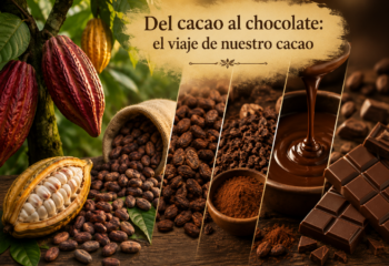 Del cacao al chocolate: el viaje de nuestro cacao